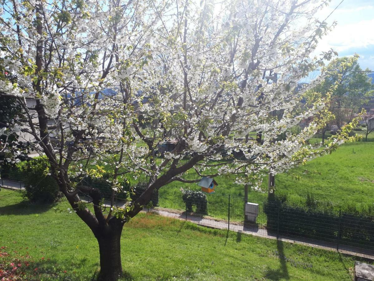 Вілла Casa Bartula Bolzano Novarese Екстер'єр фото